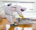 Exterminateur Repentigny